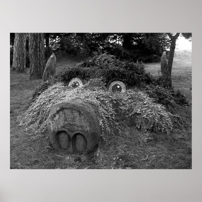 Hogs Head, Bute Park, Cardiff Poster (Front)