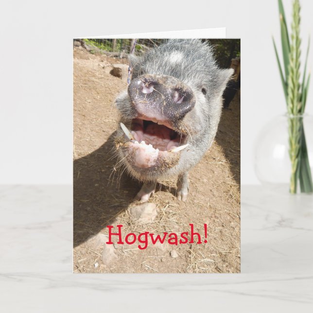 Hogwash! You don't look THAT old, Smiling Mini Pig Card (Front)