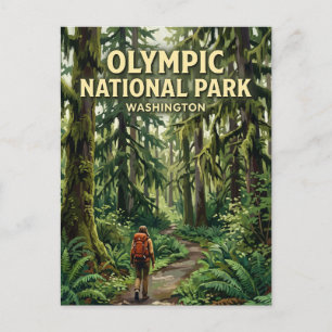 Hoh Rain Forest Forks Washington Postcard