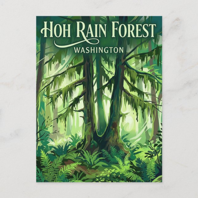 Hoh Rain Forest Washington Postcard (Front)