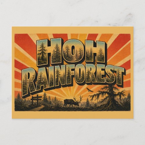 Hoh Rainforest WA Mossy Old-Growth Forest Art Postcard