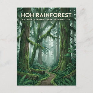 Hoh Rainforest Washington Postcard