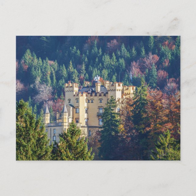 Hohenschwangau Castle In Autumn Postcard (Front)