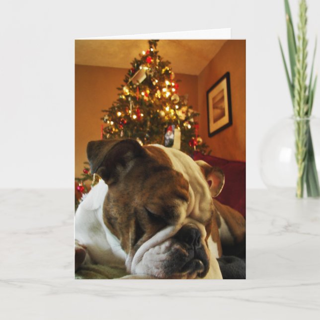 HoHo Maya Holiday Card (Front)