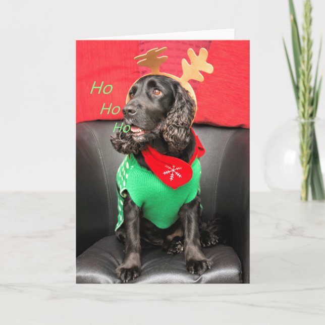 HoHoHo Cute Dog Holiday Card (Front)