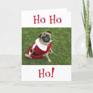 HoHoHo Pug Christmas Card
