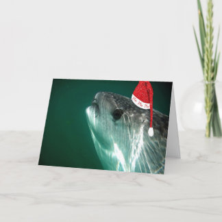 HoHoHo Whale Shark Holiday Card
