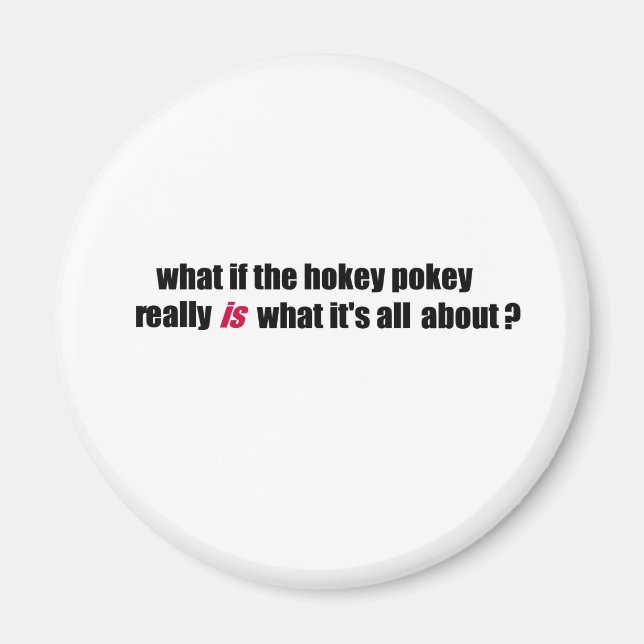 Hokey pokey magnet (Front)