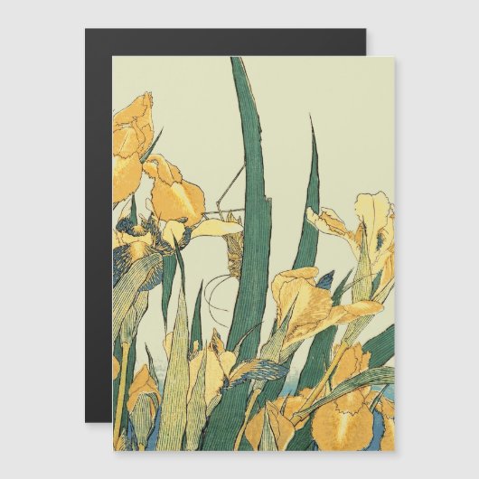 Hokusai grasshopper and iris Japan (Front/Back)