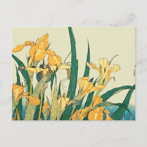 Hokusai grasshopper and iris Japan Postcard