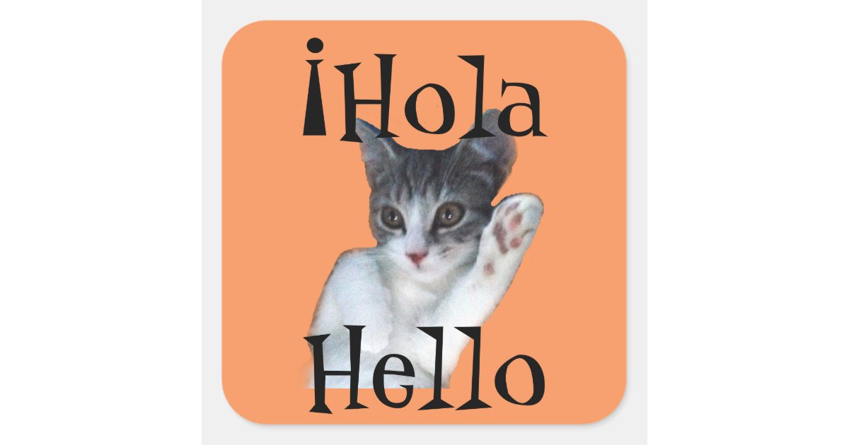 Hola Spanish Stickers | Zazzle