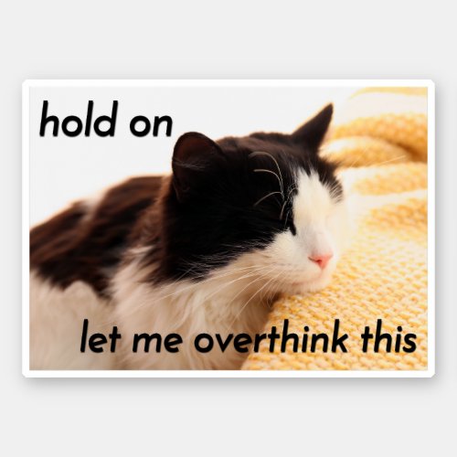 Hold on let me overthink this Cute Cat Memes Sticker
