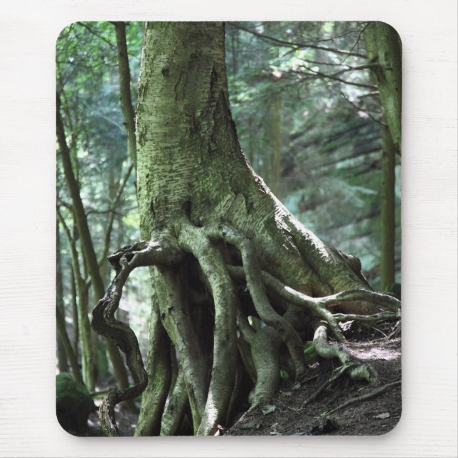 HOld on Mouse Pad (Front)