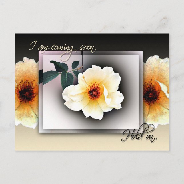 Hold On Postcard (Front)