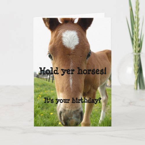 Hold Yer Horses Birthday horse face Card