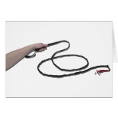 HoldingWhip103110 (Front Horizontal)