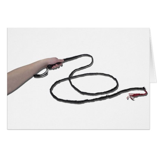 HoldingWhip103110 Cards (Front Horizontal)