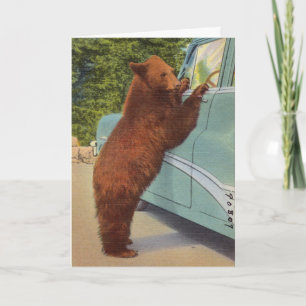 Holdup bear at Yellowstone National Park Blank Card