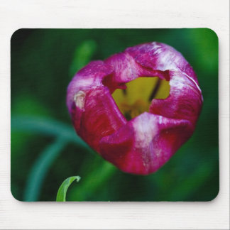 Hole In My Heart Mousepad