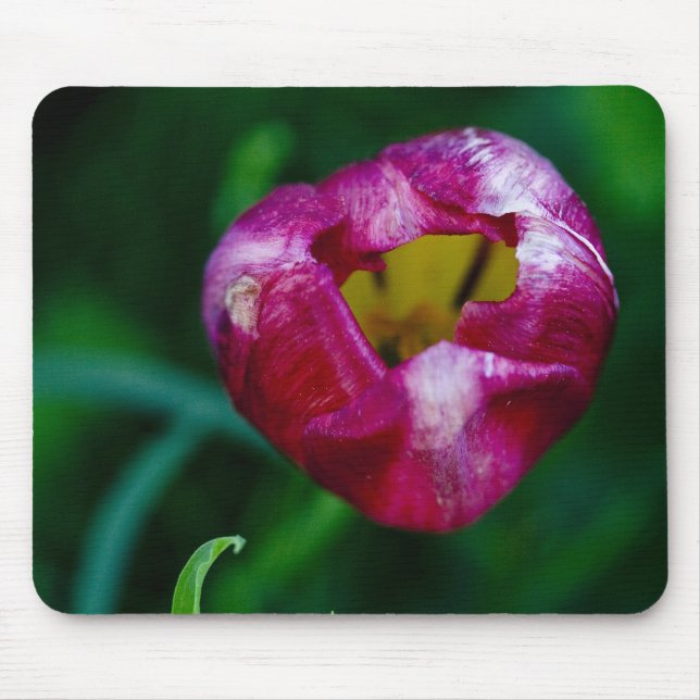 Hole In My Heart Mousepad (Front)