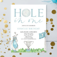 Hole In One Blue Golf 1st Birthday Party