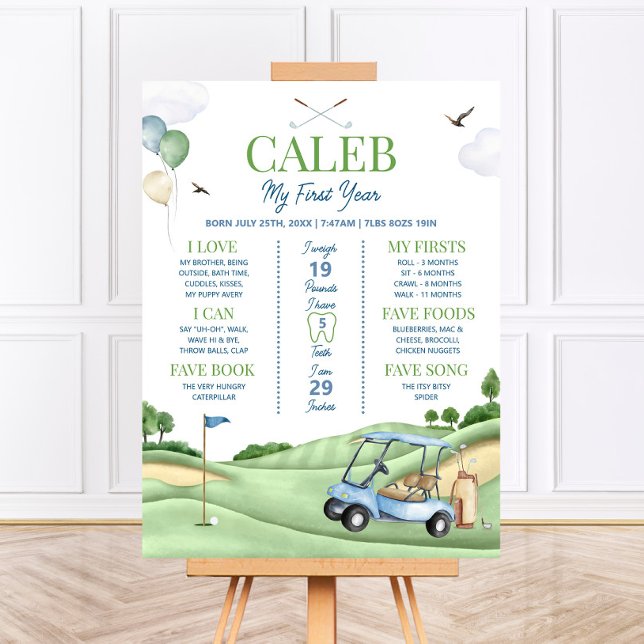 HOLE IN ONE Golf First Birthday Milestone Board (Creator Uploaded)