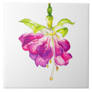 Holi on a Ceramic Tile (A)