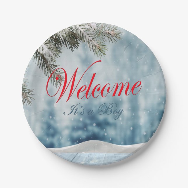Holiday Baby Shower Paper Plates (Front)