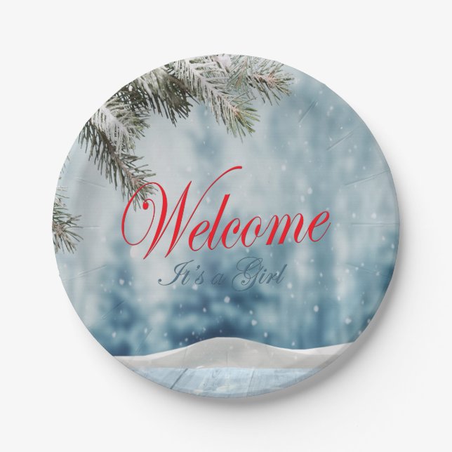 Holiday Baby Shower Paper Plates (Front)