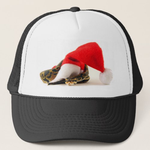 Holiday Ball Phyton Snake Hat