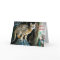Holiday Bengal Cat Greeting Card