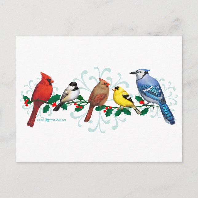 Holiday Birds Postcard (Front)