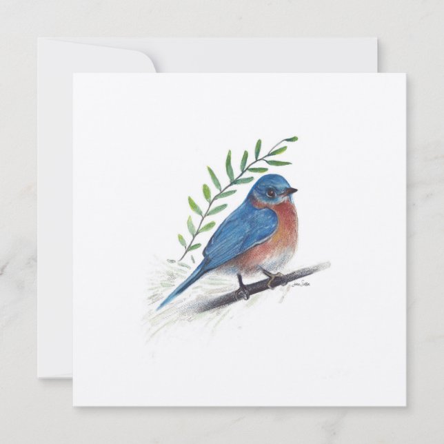 Holiday Bluebird Art Bird Card (Front)