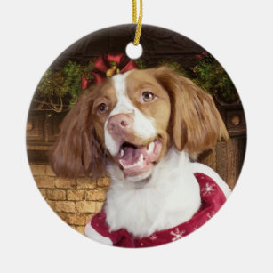 Brittany Spaniel Ornament A Great Gift For Cocker Spaniel Owners Hand Painted and Easily Personalized Doghouse Ornament With Magnetic Back E&S Imports Inc 35355-58 