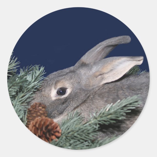Holiday bunny classic round sticker (Front)