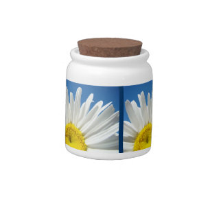 Holiday Candy Jars White Daisy Flowers Blue Sky