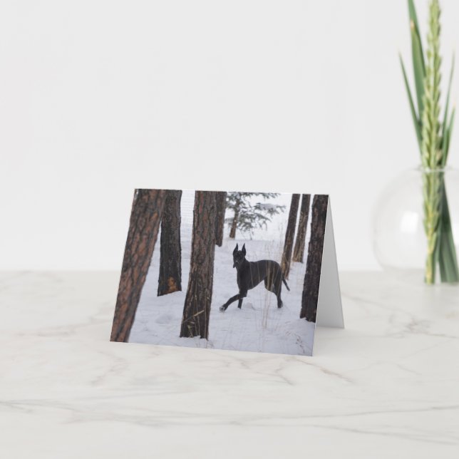 Holiday Card (Front)