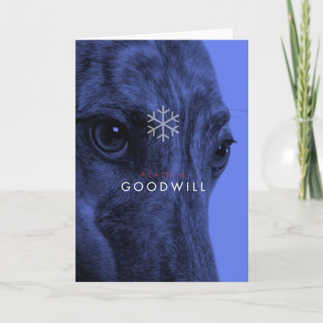 Holiday Card _8 (Front)