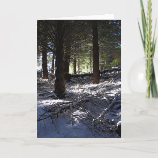 Holiday card, Bob’s Peak Queenstown Card