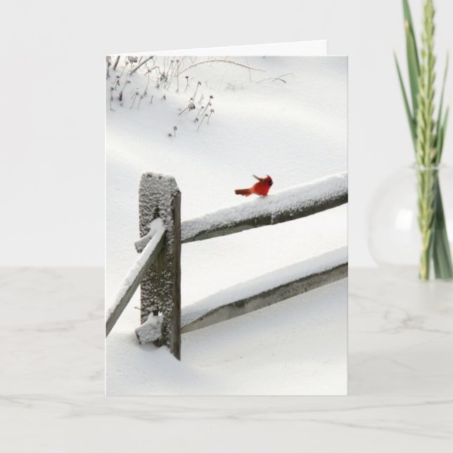 holiday card - Cardinal on Snowy Fence (Front)