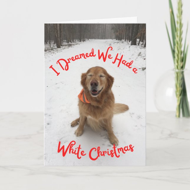 Holiday card Dog dreaming of White Christmas (Front)