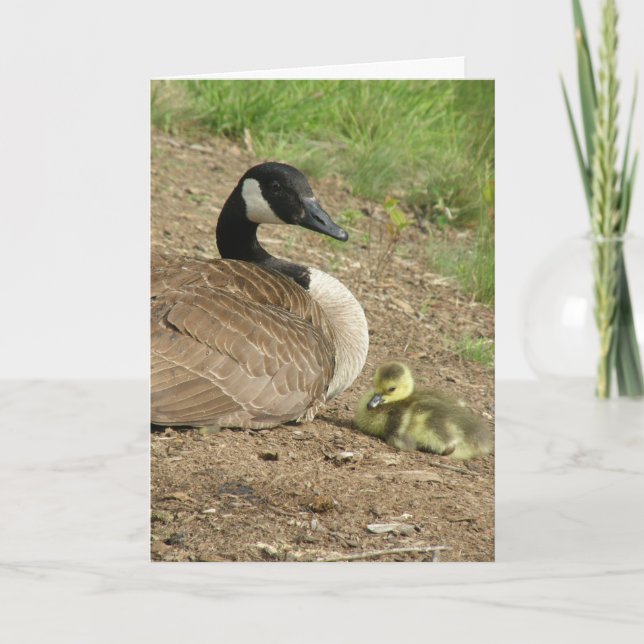 holiday card - Mother's Day Goose with Gosling (Front)