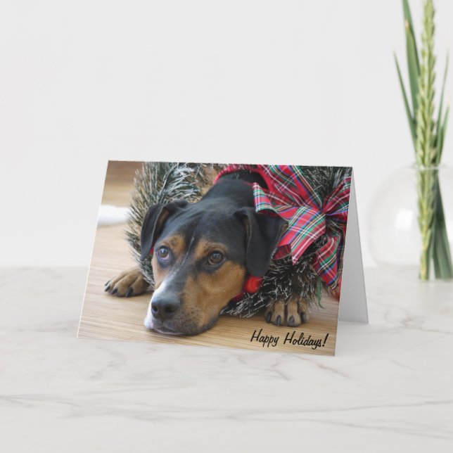 Holiday Card "Santa's Cookies?" (Front)