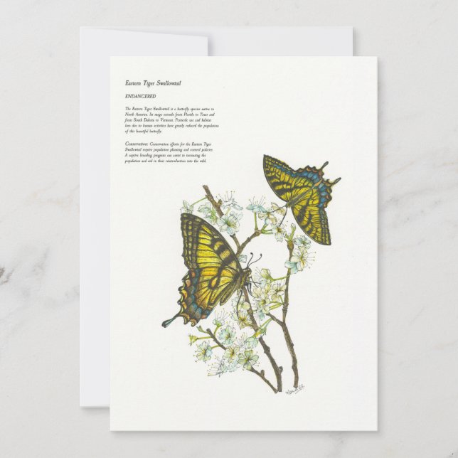 Holiday Cards (Front)