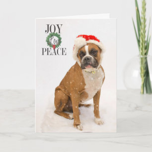 Holiday Cards
