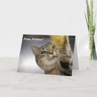 Holiday Cards "Peace, Joy, Hope"