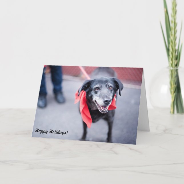 Holiday Cards "Warm holiday wishes" (Front)