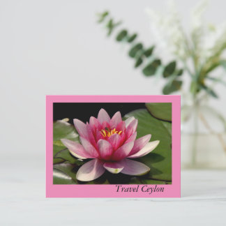 Holiday Cards with beautiful lotus on it.