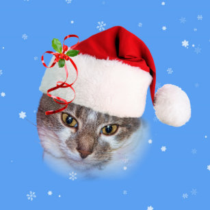 Holiday Cat In Santa Hat Wrapping Paper