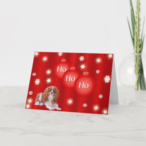 Holiday Cavalier King Charles Christmas Card